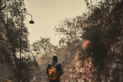 Stories Harsh-gupta-nvdb1igq64s-unsplash